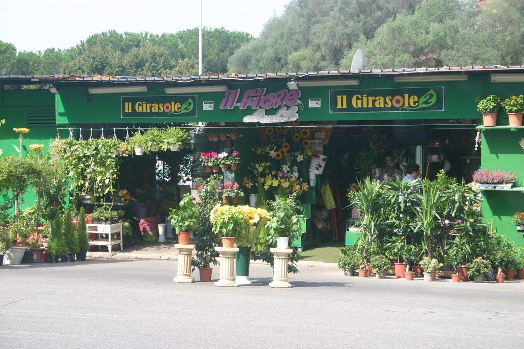 Vittoria Guest House Rome Exterior photo